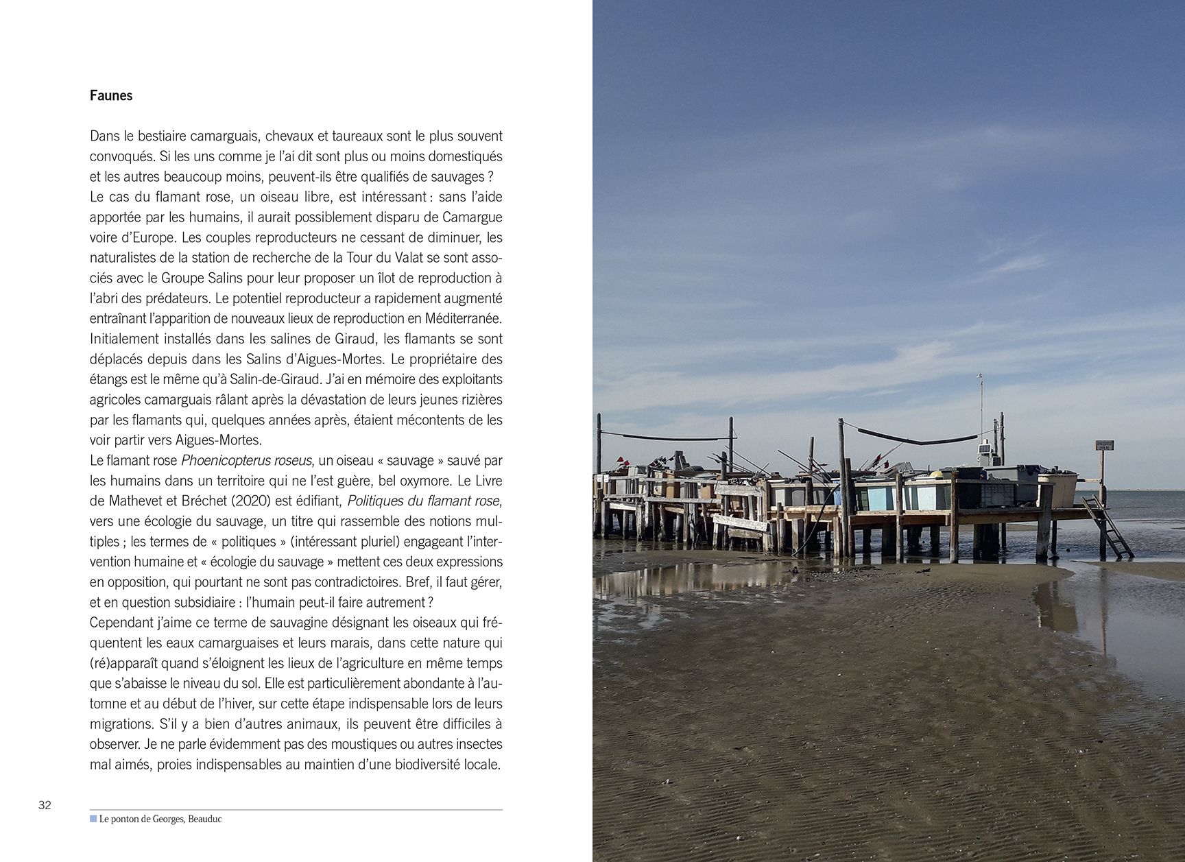 Mise en page 1